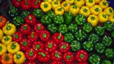 الزراعة تطمئن المواطنين: معندناش مشكلة في الفلفل الألوان الموسم ده