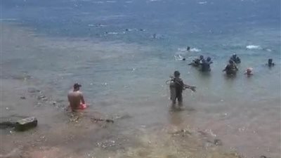 كبير الغطاسين بدهب عن رصد أسماك القرش: لا تهاجم البشر وغير خطرة.. والمكان آمن 