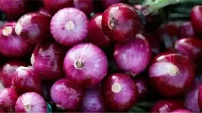 البصل بـ16 جنيها.. أسعار الخضروات والفاكهة اليوم الأربعاء 16 أغسطس 2023 