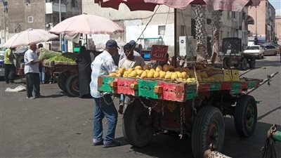 حي المناخ ببورسعيد يكثف حملاته المكبرة لرفع الإشغالات والمخالفات بعدد من الشوارع