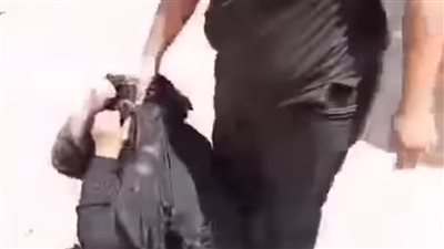 سحلها من شعرها.. تداول مقطع فيديو لشخص يضرب شقيقته في الشارع بالدقهلية 