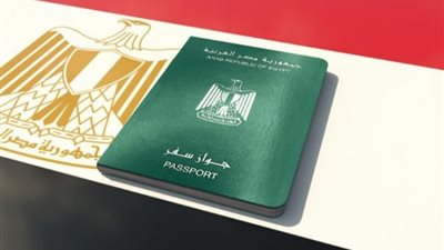 مع احتفاظهم بالمصرية.. وزير الداخلية يسمح لـ63 شخصًا بالتجنس بجنسيات أجنبية