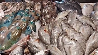 أسعار الأسماك اليوم الأحد 24 ديسمبر 2023 في الأسواق 