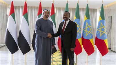 رئيس الإمارات: نرحب بالخطوة الإيجابية بين مصر وإثيوبيا لانطلاق مفاوضات تسوية ملف سد النهضة 