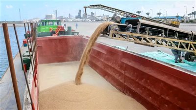 وصول 162 ألف طن قمح إلى ميناء دمياط خلال أسبوع