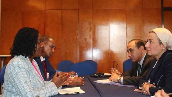 المؤتمر الوزاري الإفريقي