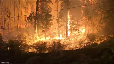 إجلاء 30 ألف شخص غربي كندا بسبب حرائق الغابات ووضع 36 ألف آخرين في حالة تأهب للإخلاء