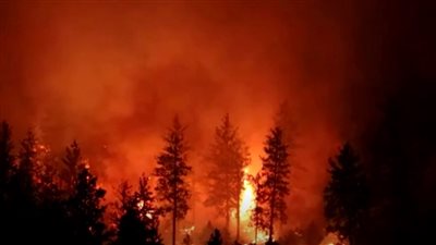 إجلاء 35 ألف شخص.. كندا تستغيث من حرائق الغابات والسلطات تتوقع الأسوأ 