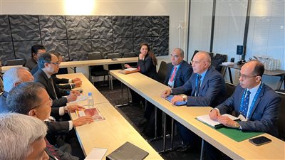 وزير الري: حريصون على تعزيز التعاون مع إندونيسيا لخدمة قضايا المياه في إفريقيا 