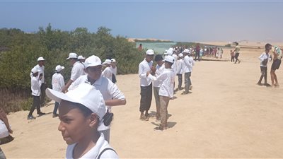 أطفال المحافظات الحدودية بمشروع أهل مصر يستهلون يومهم الثاني بزيارة محمية رأس محمد| صور