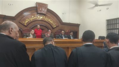 النيابة العامة: تقرير الطب النفسي بالعباسية لـ سيدة فاقوس يؤكد سلامة قواها العقلية