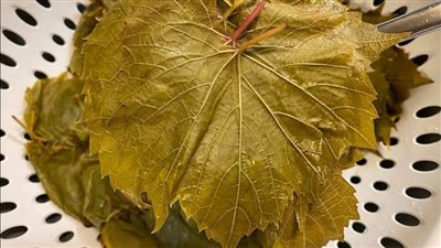 طريقة تخزين ورق العنب فاطمة أبو حاتي.. احذر تجميده مرتين