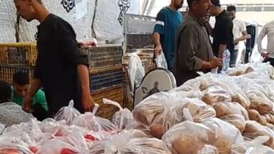 فرخة و4 كيلو طماطم وبطاطس بـ20 جنيها.. شباب الخير بمسطرد يستعدون لتوزيع الطعام: هدفنا مساعدة الناس |بث مباشر