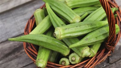 تناولها يحمي الكلى من التلف.. فوائد مذهلة لـ البامية تعرف عليها