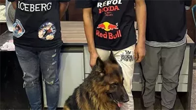 ترهيب شاب بكلب وضبط منشطات مجهولة.. نشرة أخبار الحوادث اليوم الجمعة 