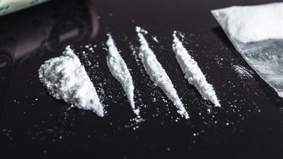 الأكبر على الإطلاق.. الشرطة الإسبانية تعلن ضبط 9.5 طن من الكوكايين مخبأة في صناديق الموز