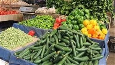 أسعار الخضراوات والفاكهة اليوم الاثنين في مصر 4-9-2023
