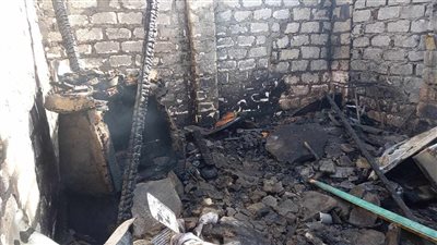 نفوق عشرات الماشية.. ننشر خسائر وتلفيات حريق نشب في 10 منازل وأحواش بقنا | صور