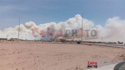 بسبب شدة الهواء.. حريق يلتهم الغابة الشجرية في طور سيناء | بث مباشر