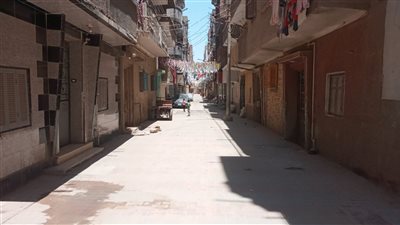 محافظ أسيوط: الانتهاء من تركيب بلاط انترلوك بـ 22 شارعا بمركز القوصية