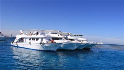 جهود مكثفة للعثور على سائحة فُقدت خلال رحلة غطس بالغردقة