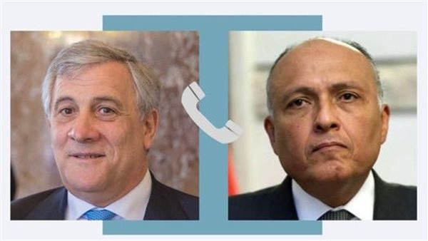 وزير الخارجية يتلقى