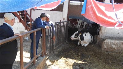 وزيرة البيئة: مشروع إدارة المخلفات الحيوانية نموذج للتكامل بين الحكومة والقطاع الخاص والمجتمع المدني | صور 