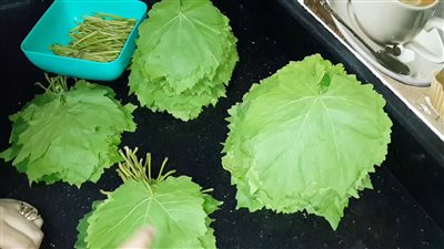 طريقة حفظ ورق العنب الطازج بالفريزر.. وصفة سهلة 