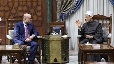 الإمام الأكبر: التعريف بحقوق الشعب الفلسطيني ضمنَ أولويات قضايا الأزهر الشريف