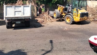 الآثار: رفع 60 طن مخلفات زراعية من المقابر اليهودية بالإسكندرية