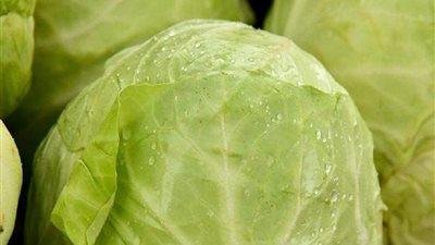 تعزيز المناعة ومحاربة الالتهابات.. 6 فوائد لتناول الكرنب