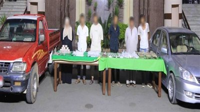 بقيمة 2.4 مليون جنيه.. القبض عناصر إجرامية بحوزتهم مواد مخدرة وأسلحة في القليوبية | صور 