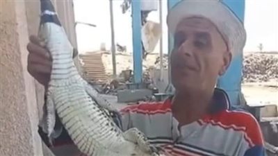 تداول صور لتمساح تم العثور عليه في بحر حادوس على حدود الشرقية