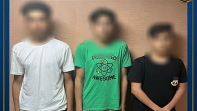 الداخلية تكشف تفاصيل تعدي بعض الصبية على قطة بالجيزة