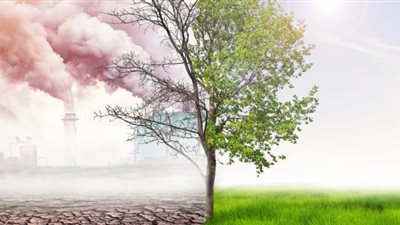 التلوث يشكل خطرا أكبر على حياة الإنسان من التبغ والكحول | دراسة