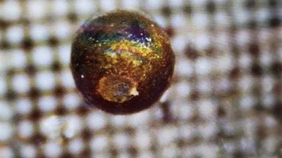 عالم فلك يزعم وجود شظايا في المحيط الهادي من كوكب آخر