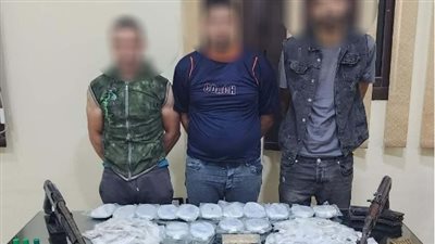 أسلحة نارية وذخائر ومخدرات.. ضبط 3 عناصر إجرامية بالدقهلية