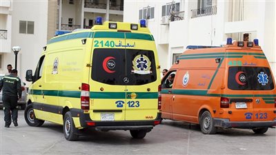 أمن القليوبية يسيطر على مشاجرة بين عائلتين بسبب لهو الأطفال في الخانكة| القصة الكاملة