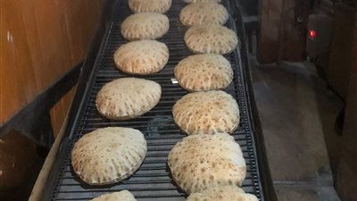 ضبط 1000 لتر سولار وتحرير 114 مخالفة خلال حملة تموينية بالدقهلية 