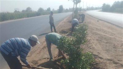 ضمن مبادرة 100 مليون شجرة.. استمرار زراعة الأشجار بمراكز المنيا