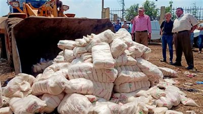 إعدام طن ونصف سكرا تموينيا غير صالح للاستهلاك الآدمي بالدقهلية 