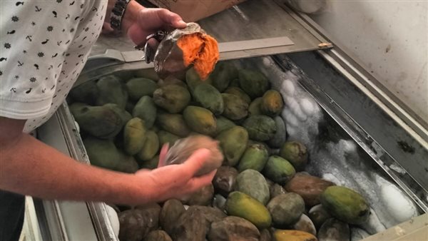 حملات مكبرة على المنشأت