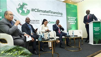محيي الدين: سياسات التمويل الميسر ضرورة لتمويل العمل التنموي والمناخي في إفريقيا
