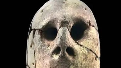 المتحف المصري بالتحرير يعرض رأسًا من الطين تعود إلى 4800 قبل الميلاد 