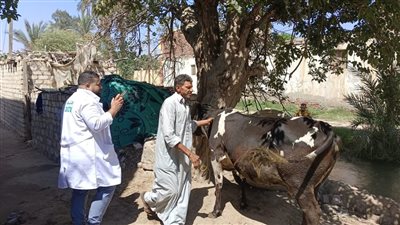 قافلة بيطرية لتحصين وعلاج رؤوس الماشية والدواجن بمركز ومدينة فايد