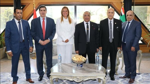 رئيس قضايا الدولة