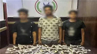 هروين وحشيش.. حبس 4 أشخاص متهمين بالاتجار في المواد المخدرة بالقاهرة