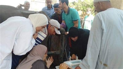 بيطري المنوفية يوجه الأهالي بالتأمين على المواشي ضد حالات النفوق