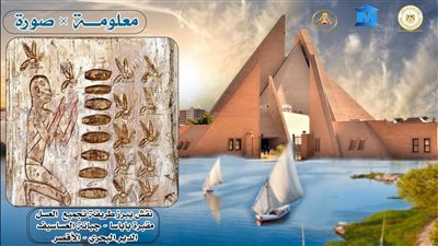 استخدموه في الطب والصيدلة.. أهمية عسل النحل بمصر الفرعونية 