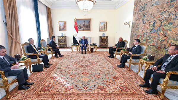 السيسي مع وزير خارجية